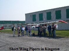 Short Wing Pipers in Kingston